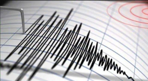 Ternate Diguncang Gempa M5,6, BMKG: Akibat Deformasi Lempeng Laut Maluku