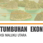 Sektor Industri Pengolahan Topang Pertumbuhan Ekonomi Maluku Utara